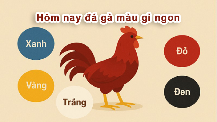 Hôm nay đá gà màu gì ngon? Cách chọn màu gà đá theo ngày chuẩn xác